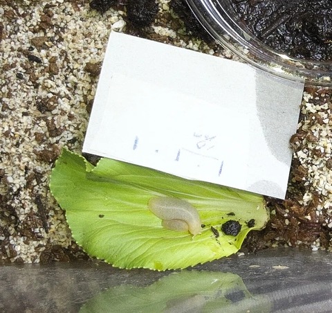 1754355311-SHGgd8TfwC6uihqxNljvsUY4