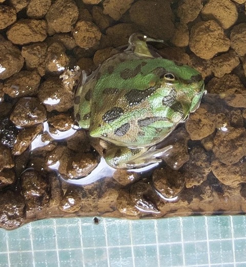 1754617477-YNh7dSCAbTLW84VGn0aBzFMy