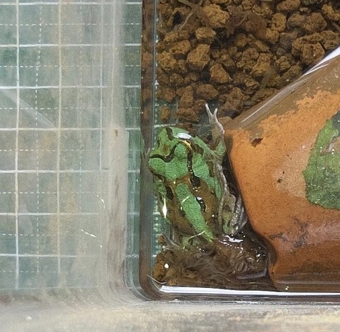 1754617616-HoKwnVB8LkDdPqFMe3xlhJ7S