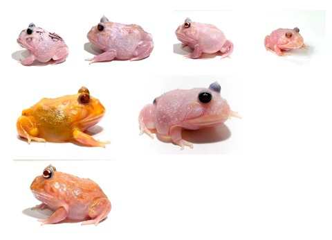 1755150637-YENzfoBbWgA1i2ecVy74XU8K