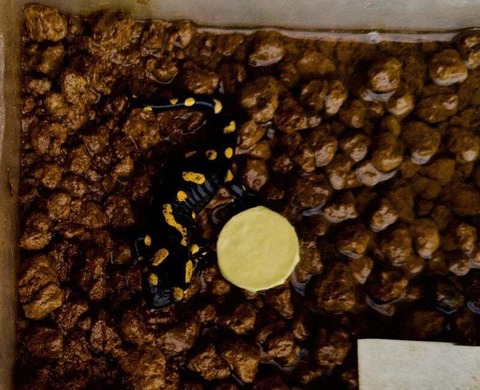 1756857848-mzJE79Hbg4yTdKqfZU8a2R3r