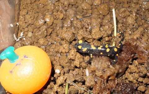 1757808431-h2L1ifnZQUJmoPsY6Gq9u8e4