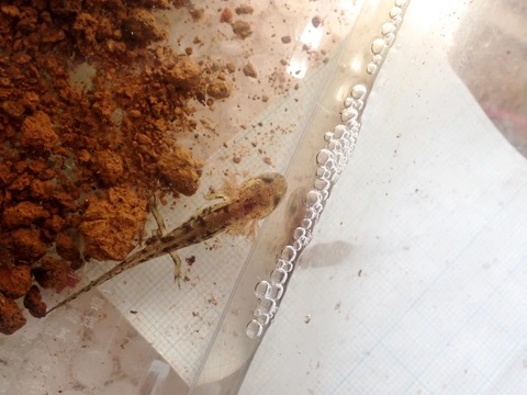 1757808520-AsDeiH876fQrnJY152XUSwIE